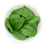 Baby Spinach